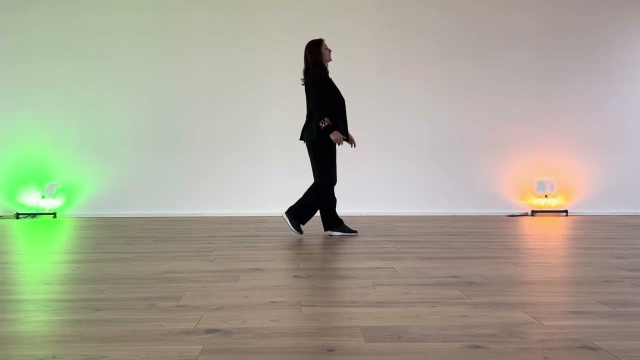 Afterlife - Michael Schulte - Linedance Improver Tutorial