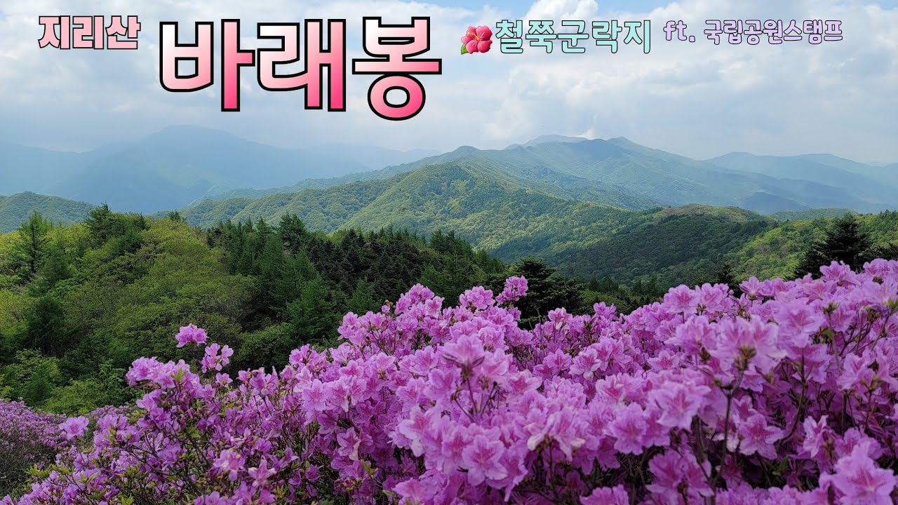 바래봉/지리산/철쭉/팔랑마을주차장 원점회귀/국립공원스탬프