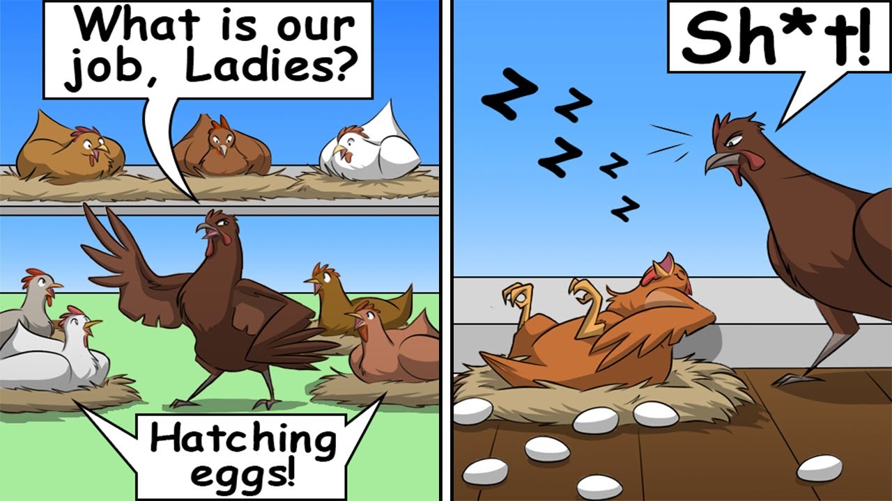Funny Comics With Animals Twist | Animal Comic Dub