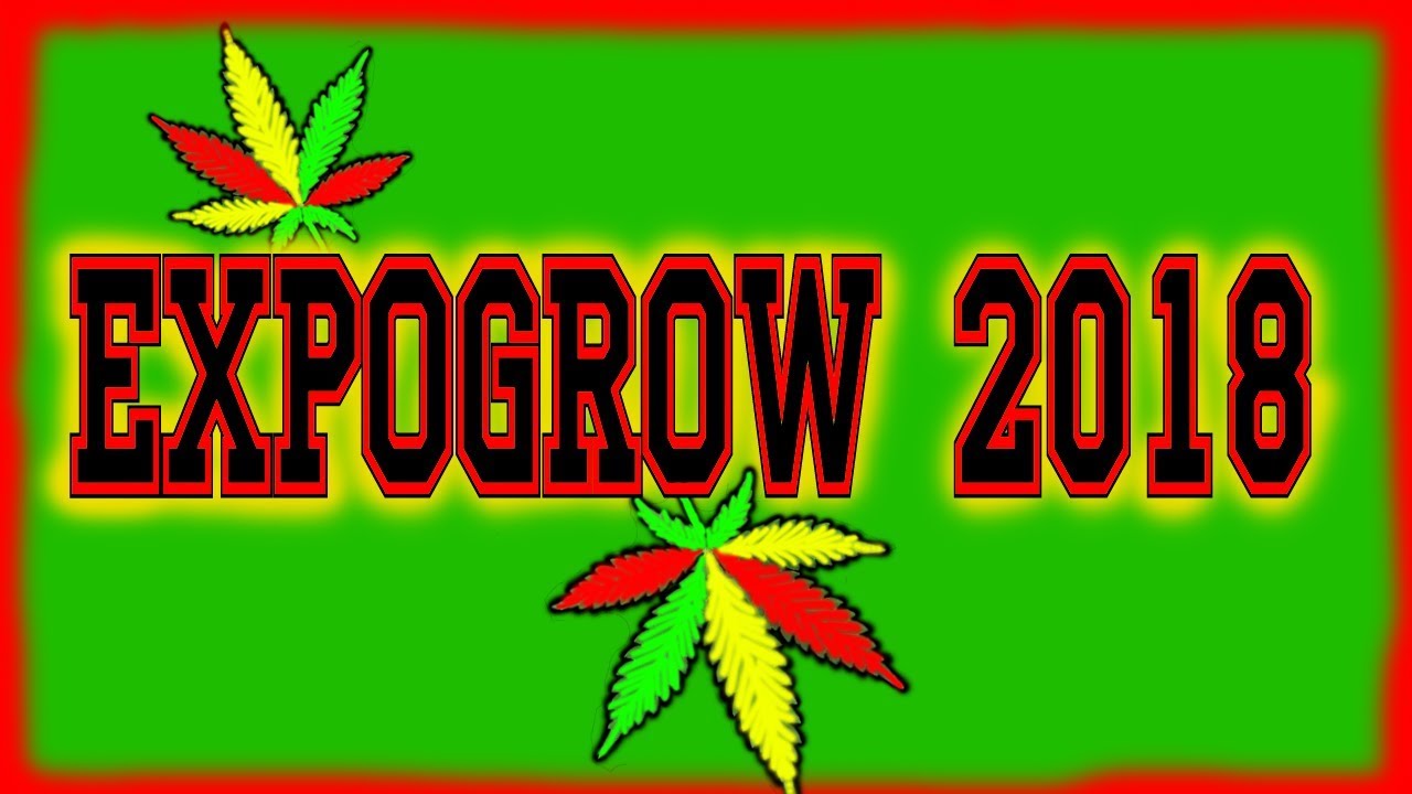 EXPOGROW🍅🍋🥦Feria Cannabica.Marihuana IRUN