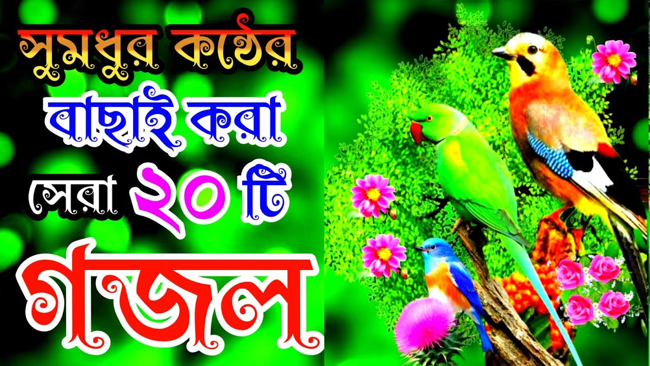 খুবই দুঃখের কলিজা ছিড়া সেরা ২০টি গজল |বাংলা বাছাইকৃত গজল |New Gojol |Selected Gajal |Bangla Gazal 