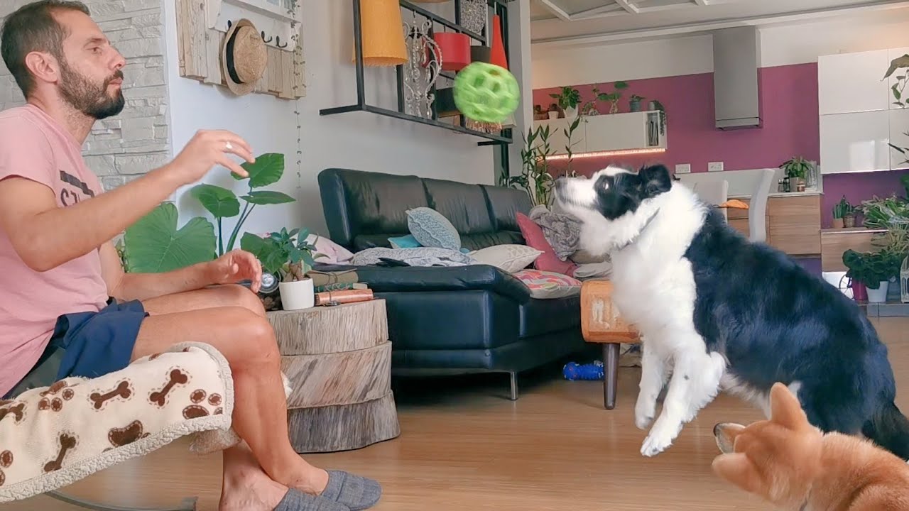 She Might be Old but Still Loves to Play ❤️