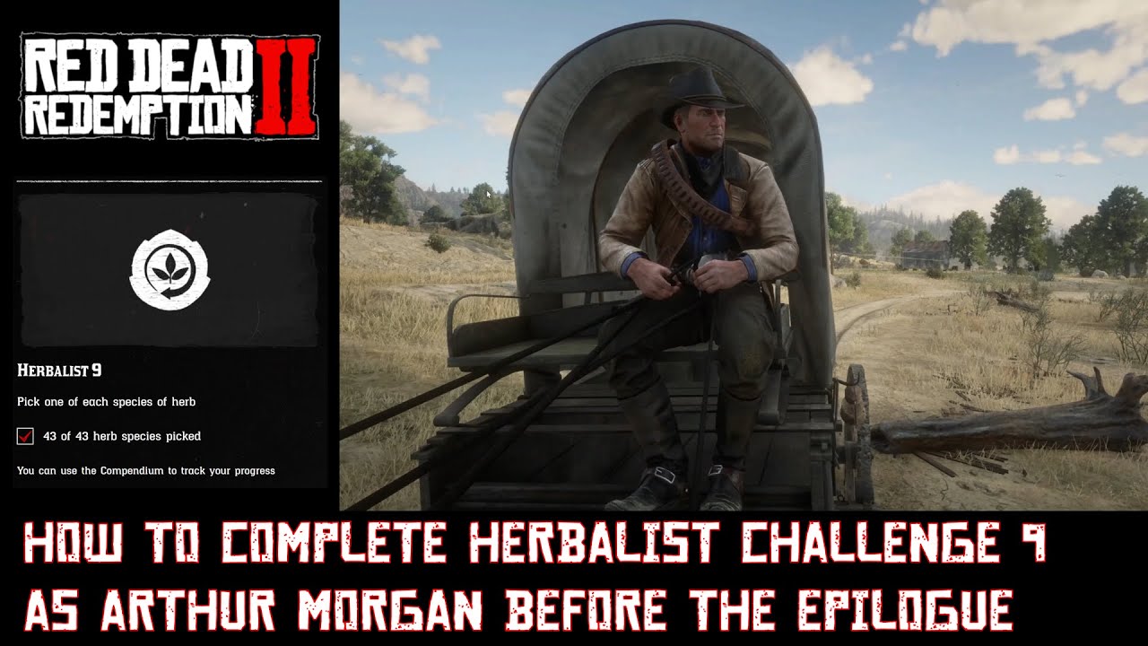 RDR 2: Как пройти испытание травника 9 за Артура Моргана