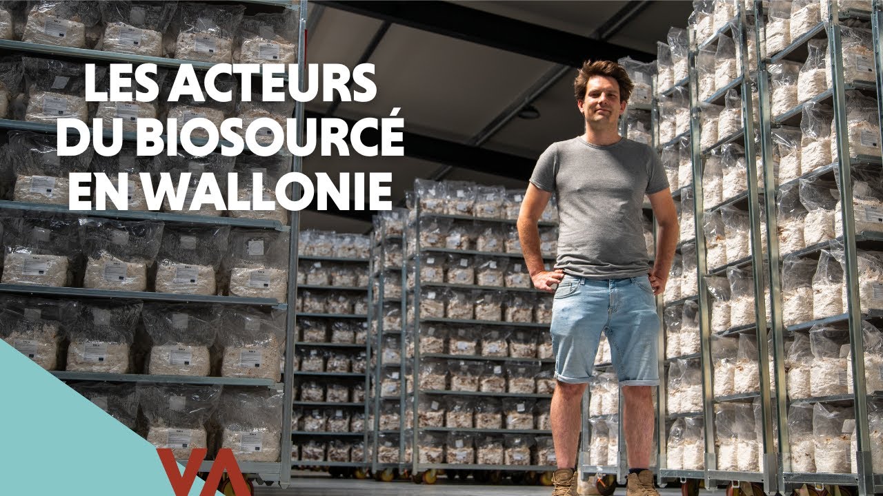 Eclo : cultiver l'excellence fongique en économie circulaire