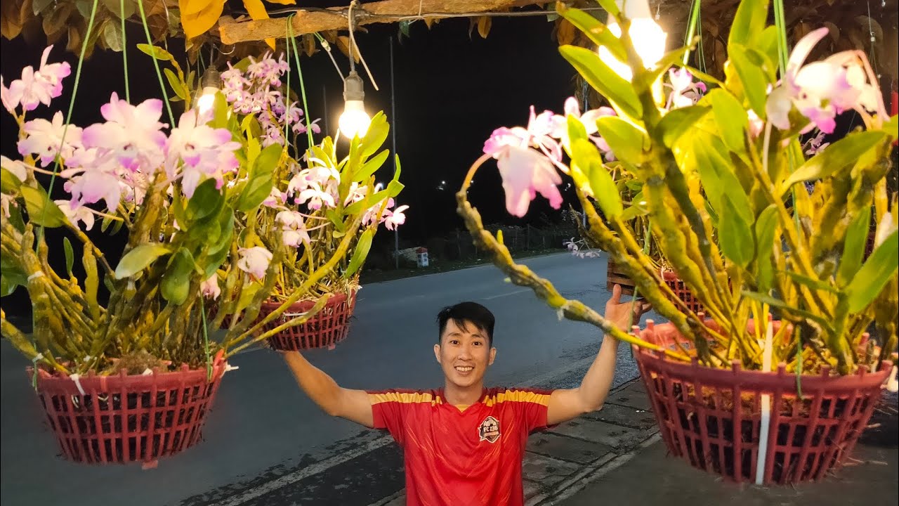 VIDEO CHÚC TẾT CỦA E TRƯỜNG THANH HÓA GỬI ĐẾN ĐẠI GIA ĐÌNH YÊU HOA LAN Ạ 