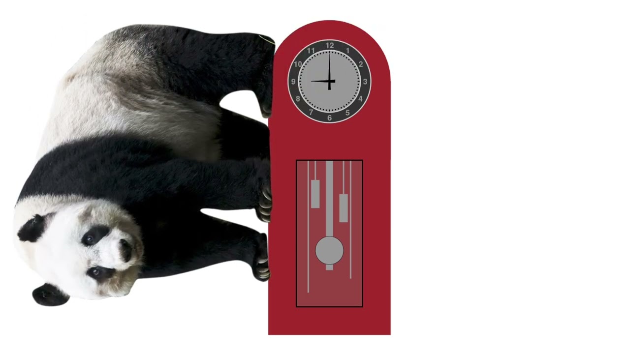 Hickory Dickory dock Flippy the seal
