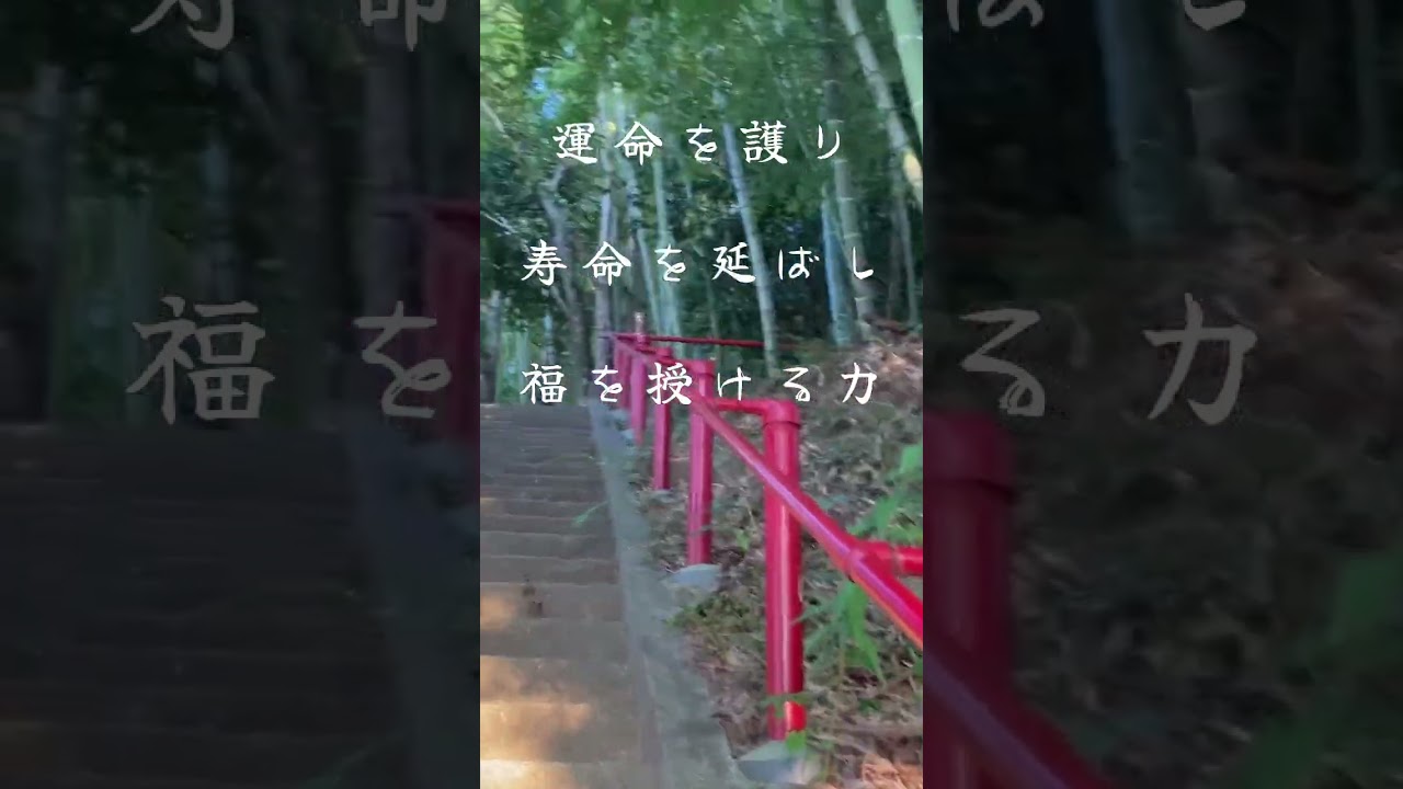 運命を整え人生を好転させる延命長寿と福徳の神聖な力 #運気上昇 #開運祈願 #厄除け #庚申信仰 #福徳円満 #人生好転 #奇跡体験 #スピリチュアル #神秘の力 #深谷神社 #パワースポット #守護
