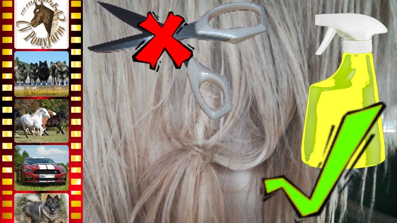 DIY: Mähnenspray und Schweifspray, was man selber mixen kann, gut und günstig für Jedermann