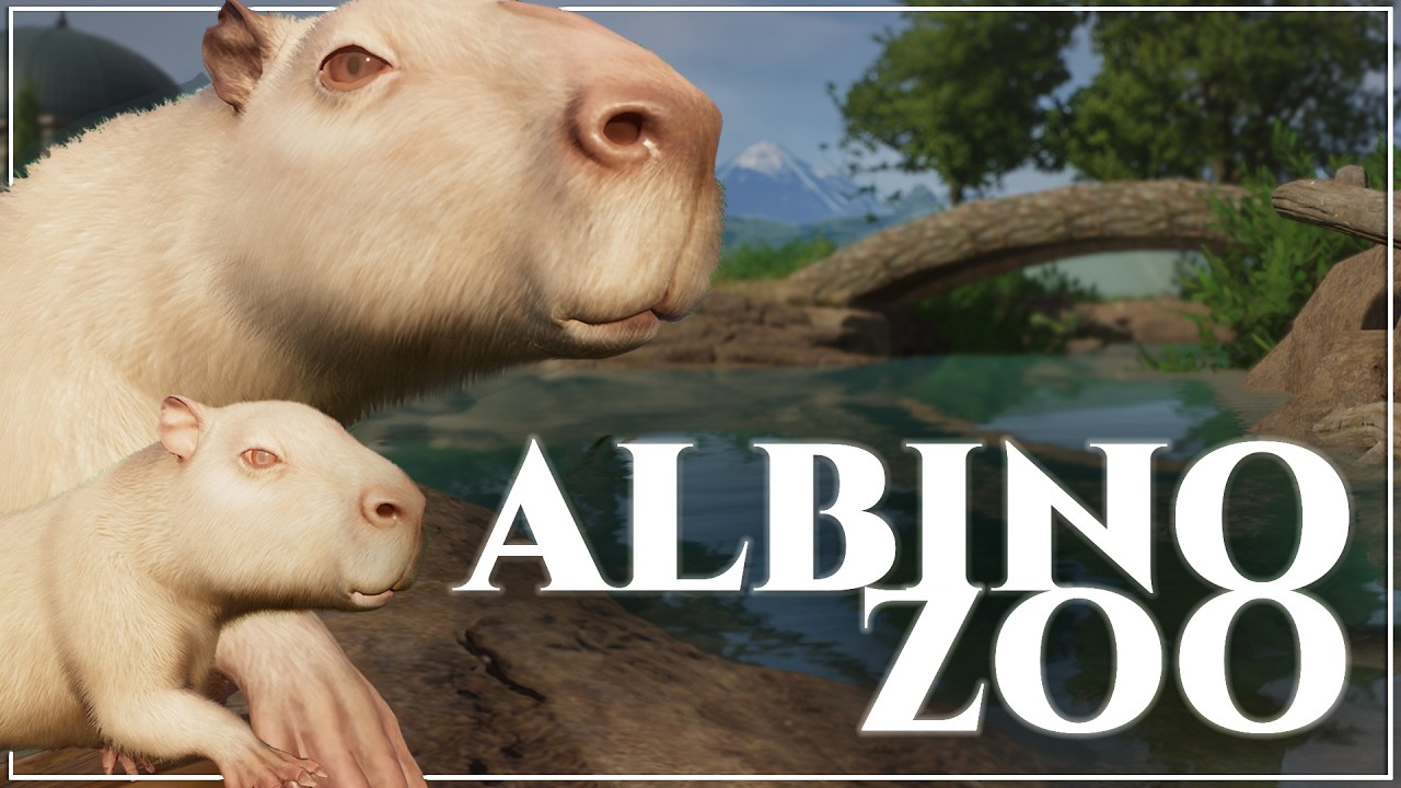 Designing the Ultimate Capybara Spa in our Albino City Zoo