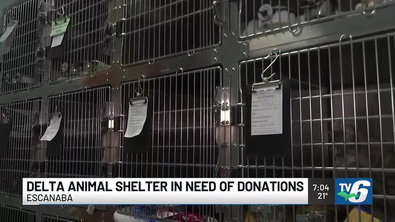 Delta Animal Center in need of donations after taking in animals from neglect case