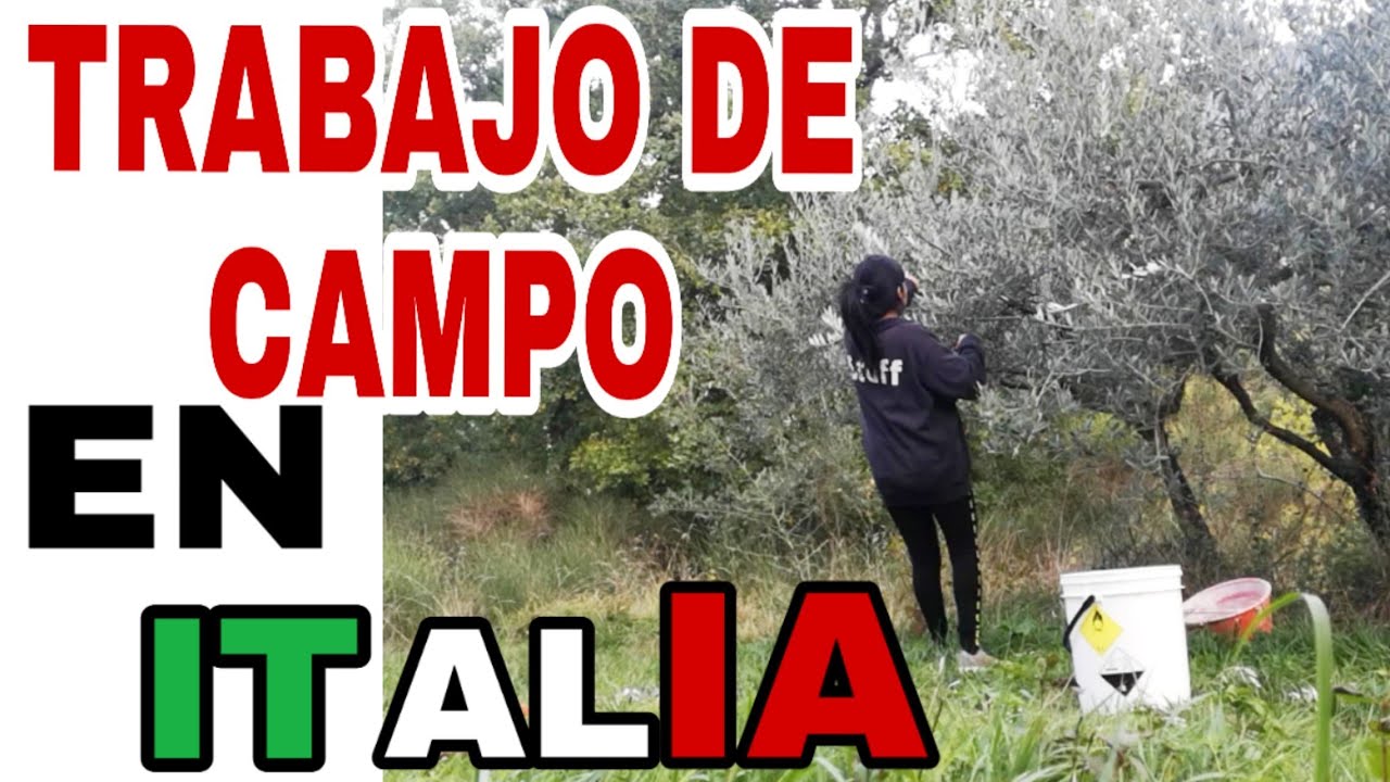 Vlog #58 CON MI FAMILIA ITALIANA DE COSECHAS 🇮🇹/ PERUANA EN ITALIA