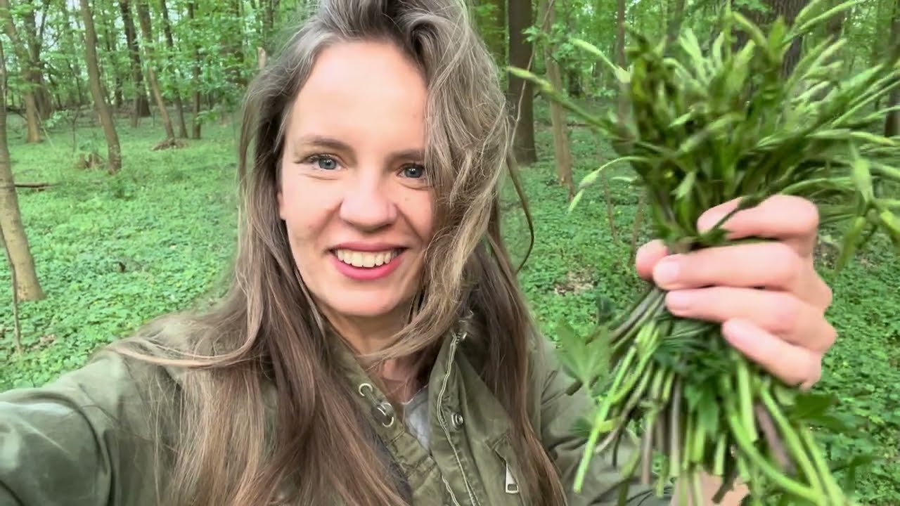 Młode pędy chmielu - w sklepach warte fortunę, w przydrożnych chaszczach za darmo