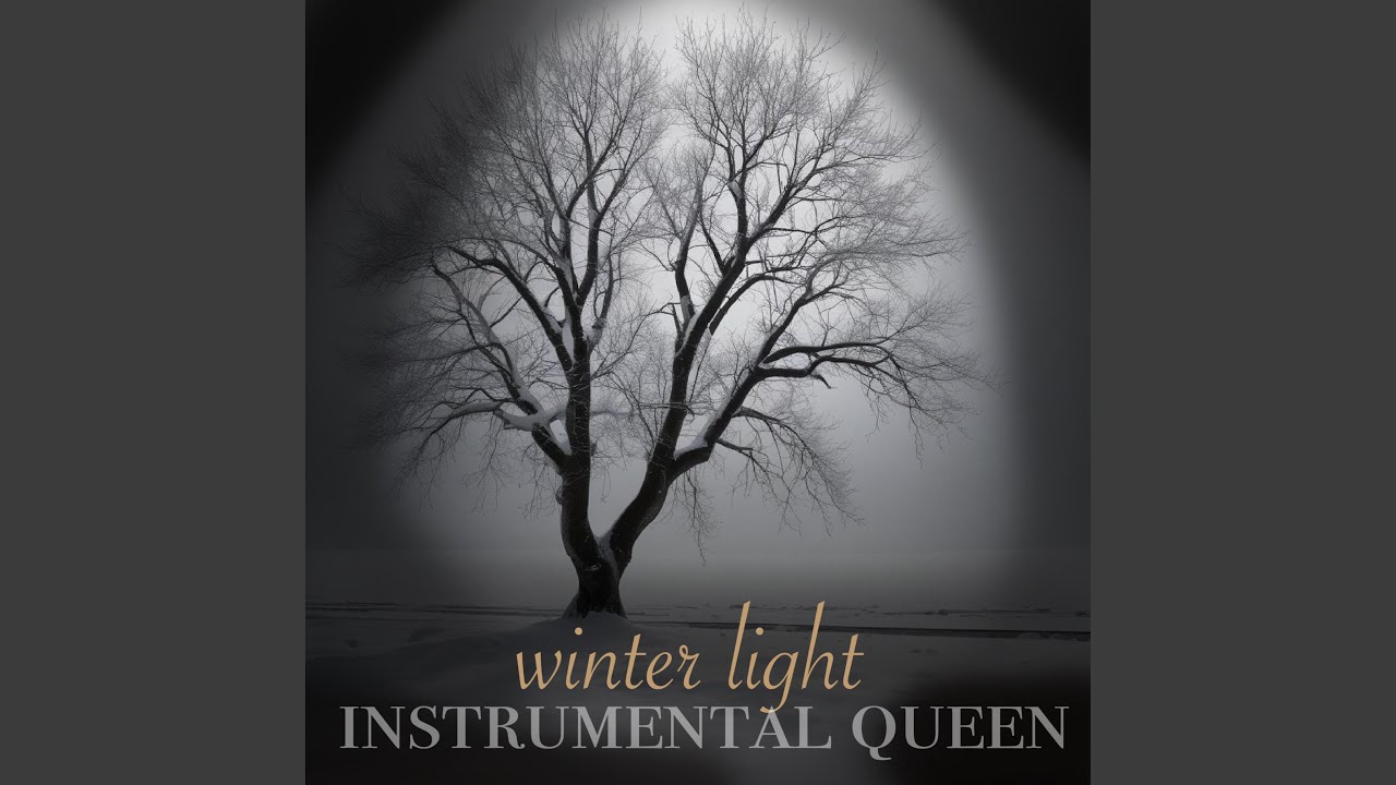 Slow Shutter Snow &ndash; Minimal Photo Reel Instrumental