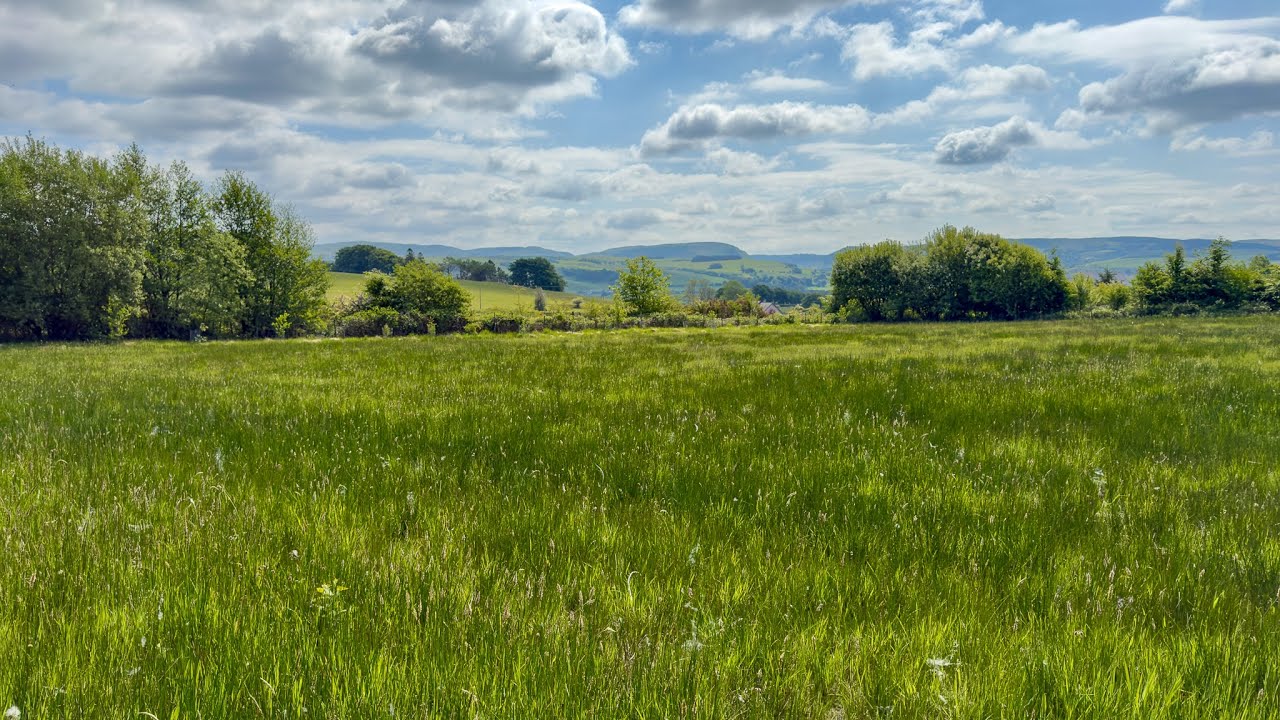 Orchid Meadows Nature Trail