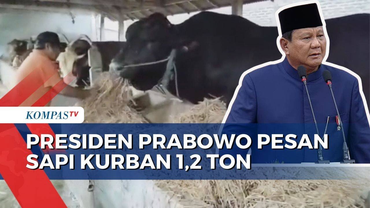 Presiden Prabowo Pesan Sapi Kurban Seberat 1,2 Ton Asal Sragen