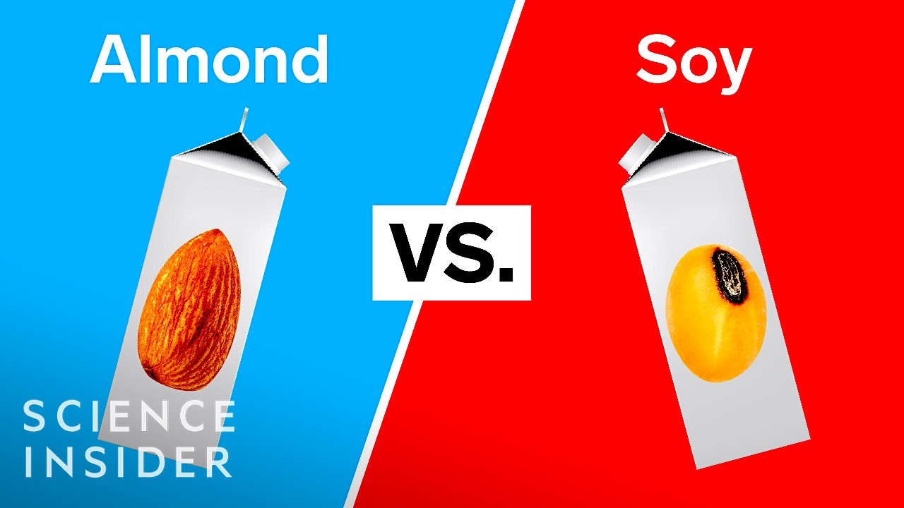 The Best Vegan Milks, According To A Dietitian
