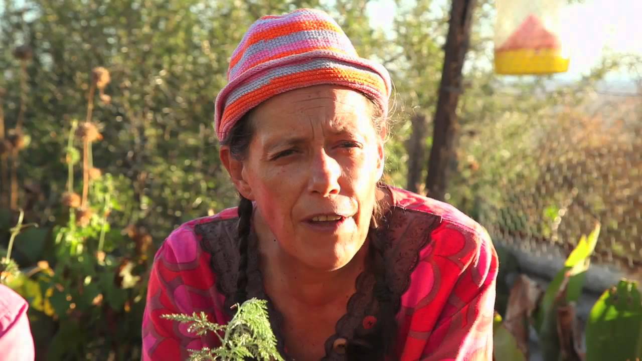 Dagbreek: Van Nature - Wynruit en wilde-als