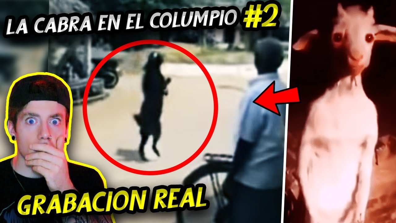 Volvi&oacute; LA CABRA EN EL COLUMPIO | La GRABARON CAMINANDO en DOS PATAS (Video real)