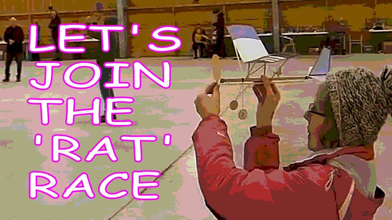 Amazing Hangar Rat Fly-Off Indoor Competition