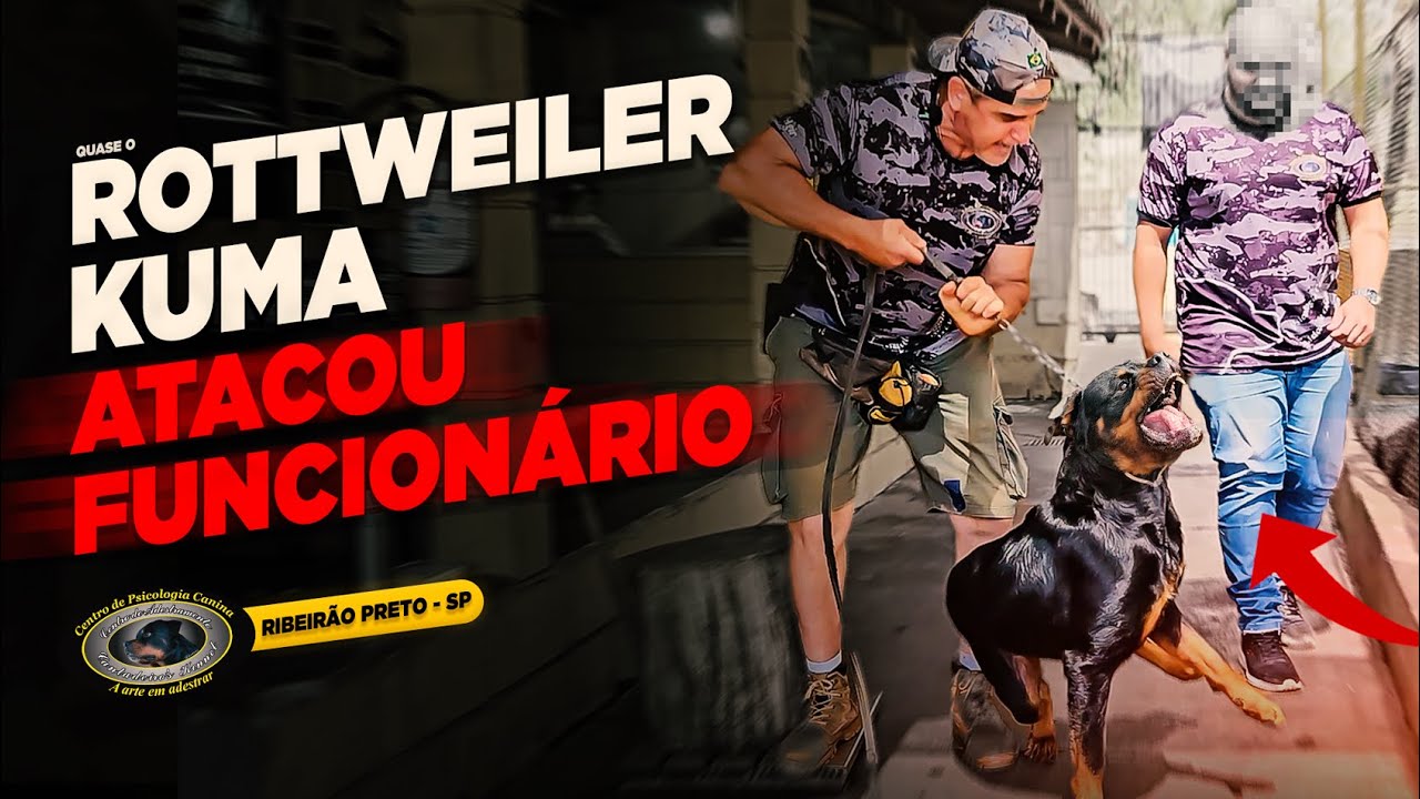 ROTTWEILER — KUMA — PRIMEIRA AULA, PRIMEIROS RESULTADOS