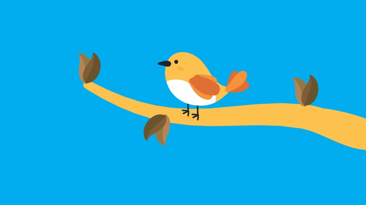 Bird Animation in After Effects Tutorial