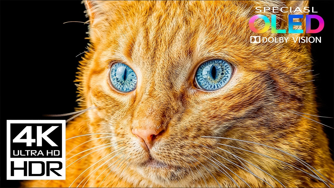 Ultra HDR Cinematic 4K OLED Test | Dolby Vision • Stress Relief Music Showcase