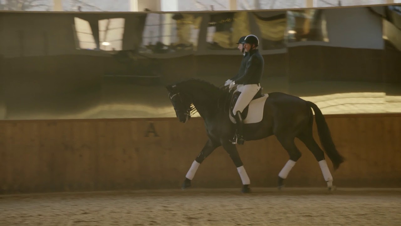 Patrik Kittel Dressage Tour S1E5 - Lätt Nivå: Utveckla ridbarheten – Tempoväxlingar och lyhördhet