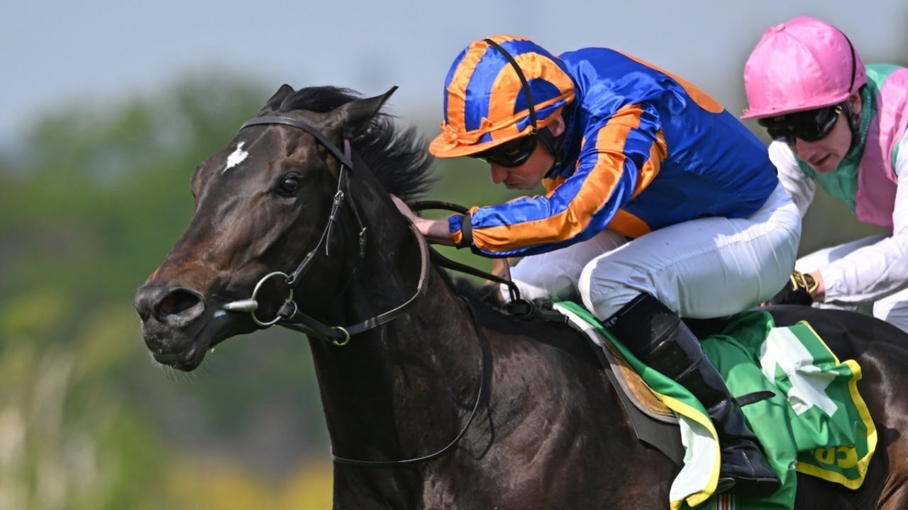 SWAGMAN shows style in Classic Trial