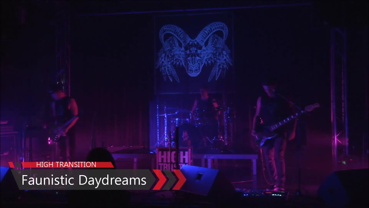 HIGH TRANSITION - Faunistic Daydreams live at Freiraum