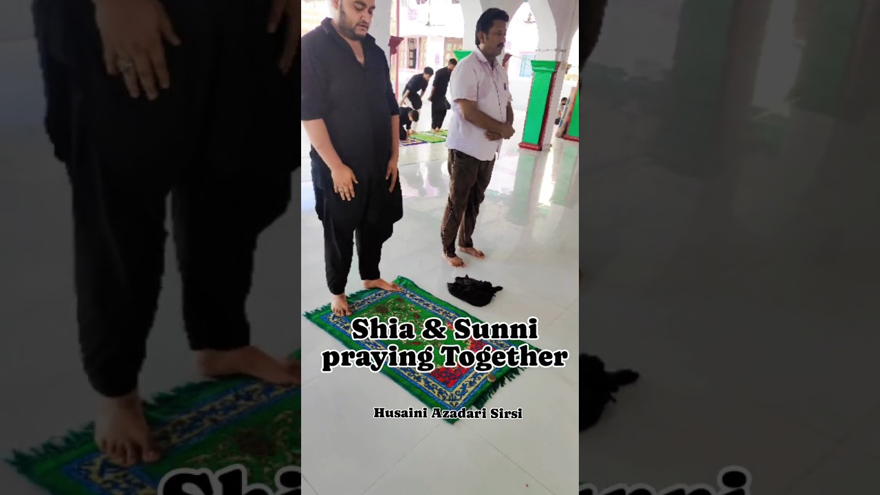 Shia Sunni praying Together | Shia Sunni ek Sath Namaz padhte hue|#shiasunniunity #shia #sunni #2024