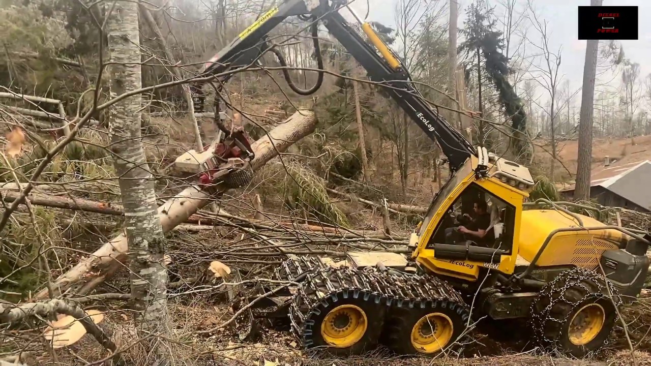 Valentino mit seinem EcoLog 590E & Logmax 7000
