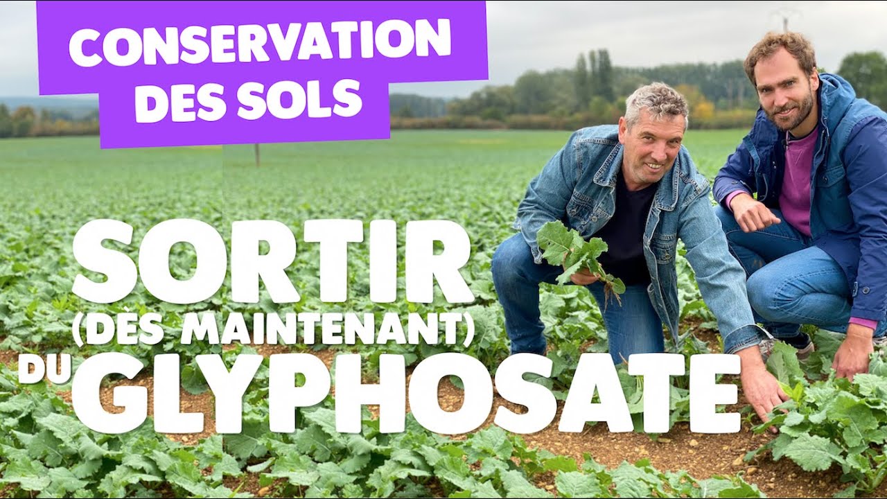 Arrêt du glyphosate : les alternatives en agriculture de conservation