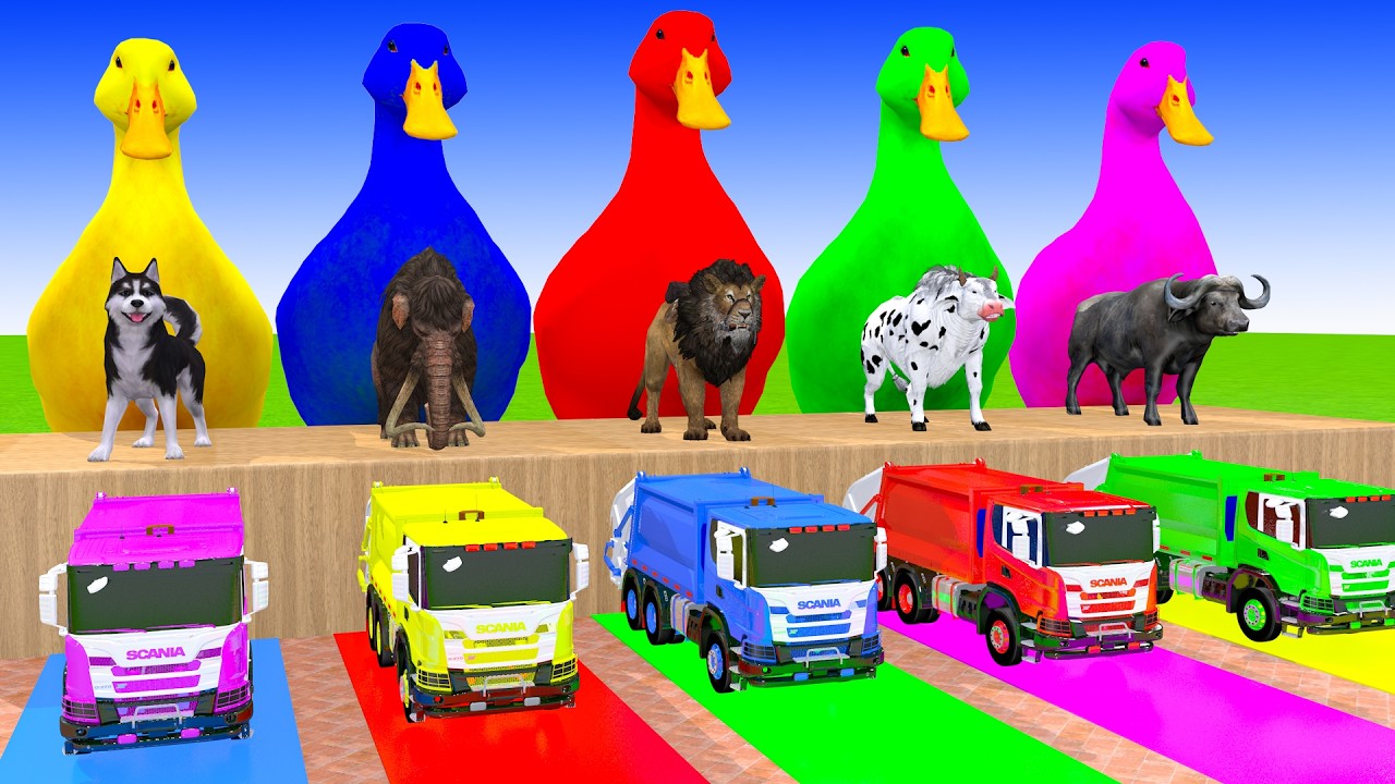 Long Slide Game With Cow Elephant Gorilla Hippopotamus Tiger 3d Animal Game Funny 3d Animals