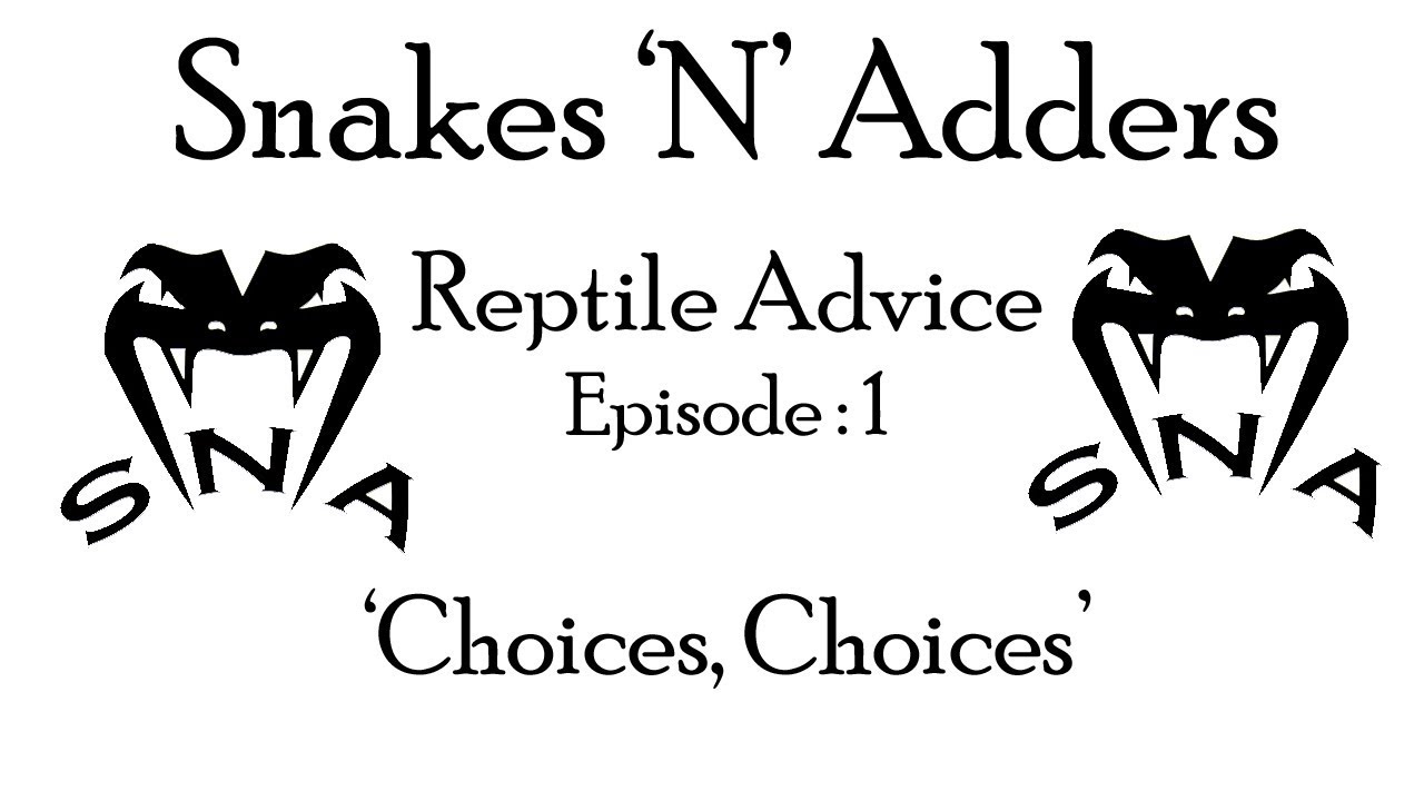 Snakes 'N' Adders Reptile Advice : Episode 1 (Choices, Choices Fam !)