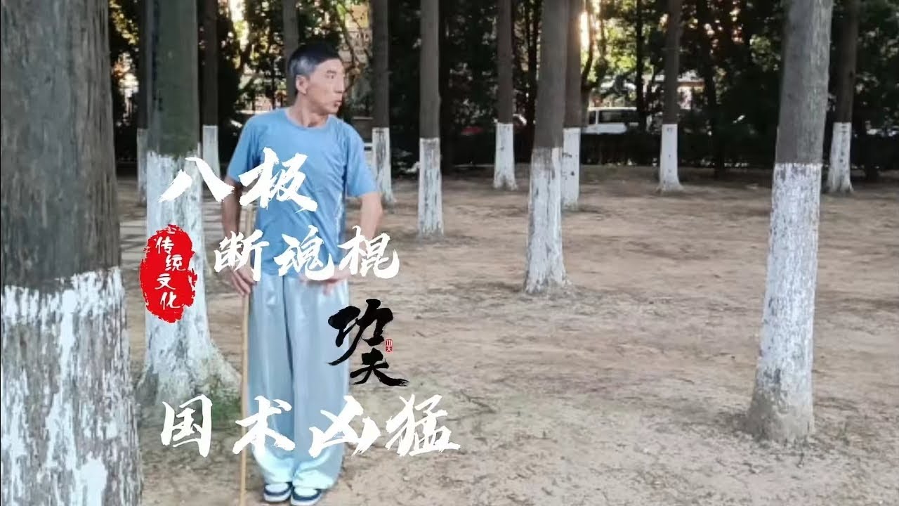 老辈人密不外传的“八极断魂棍”，套路的衍生没有任何多余动作，招法凌厉简单，凶猛霸道实用！#储兆清八极拳 #八极拳 #八极断魂棍#短棍 #传统武术 #功夫