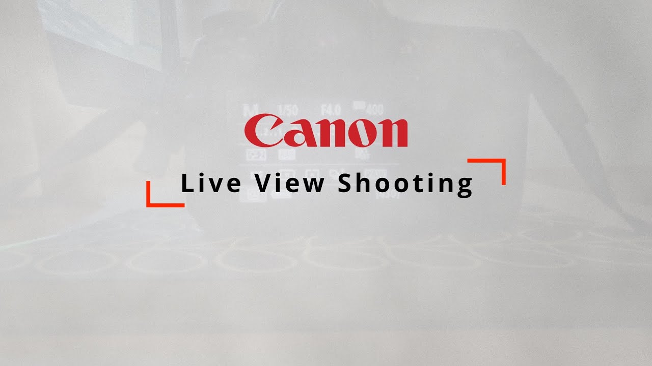 Live View Shooting on Canon Camera | DSLR Photography Basics