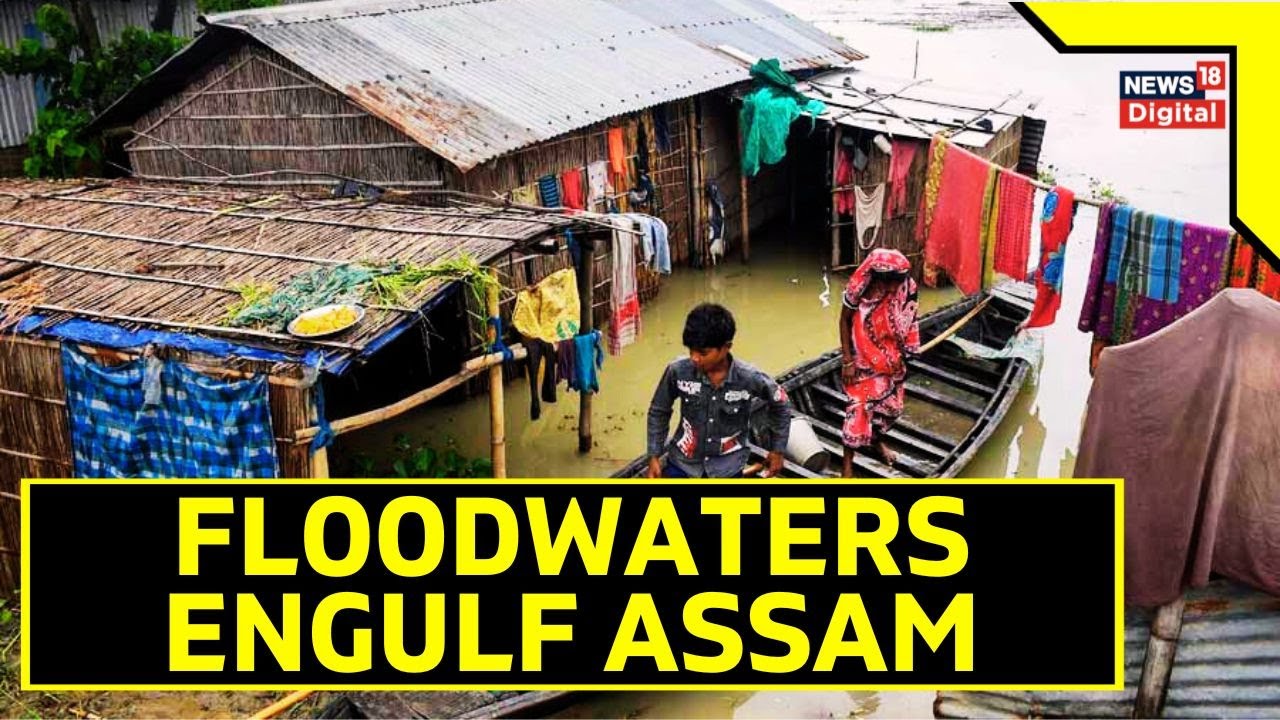 Assam Flood 2023: Assam Is Reeling From Annual Floods | Assam Floods