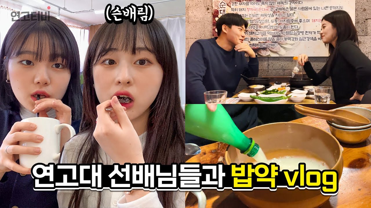 연고대 선배님들과 밥약했습니다 (feat. 채다치즈) | 연고티비
