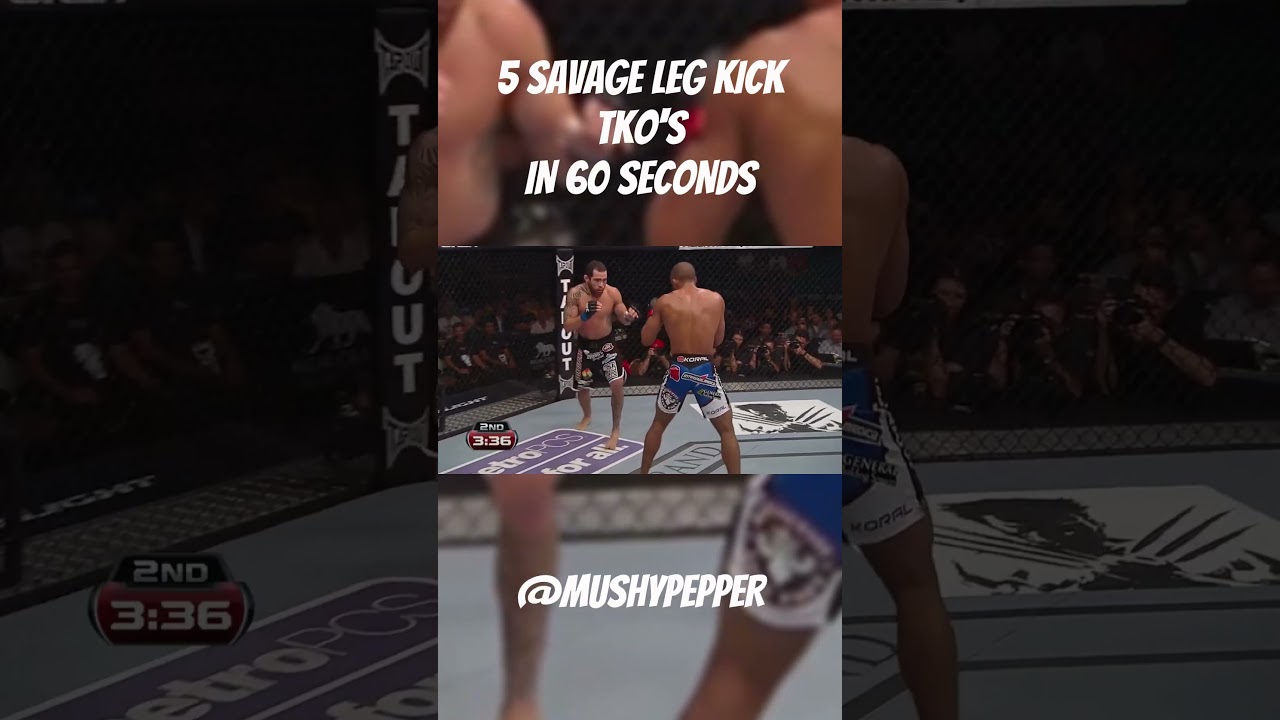 UFC Highlight Reel TKOs