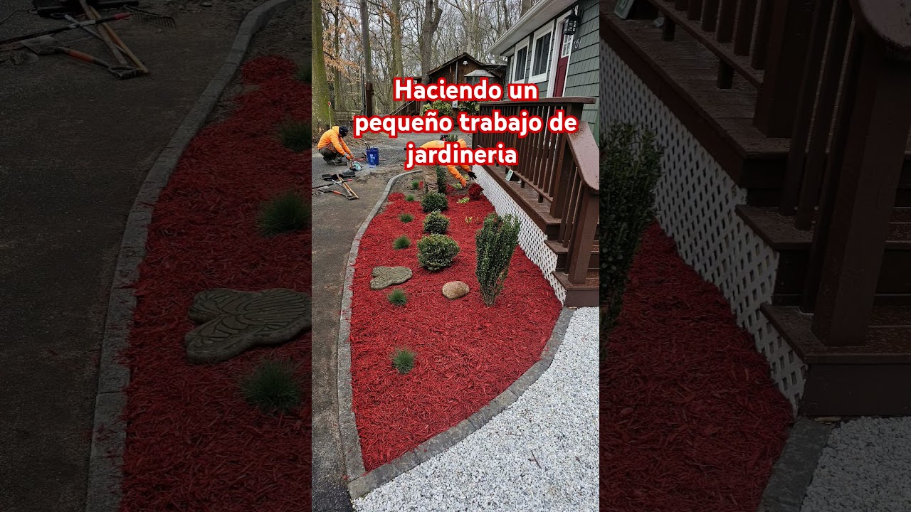 trabajo de jardineria#landscaping#landscape#design#mulching#flowers
