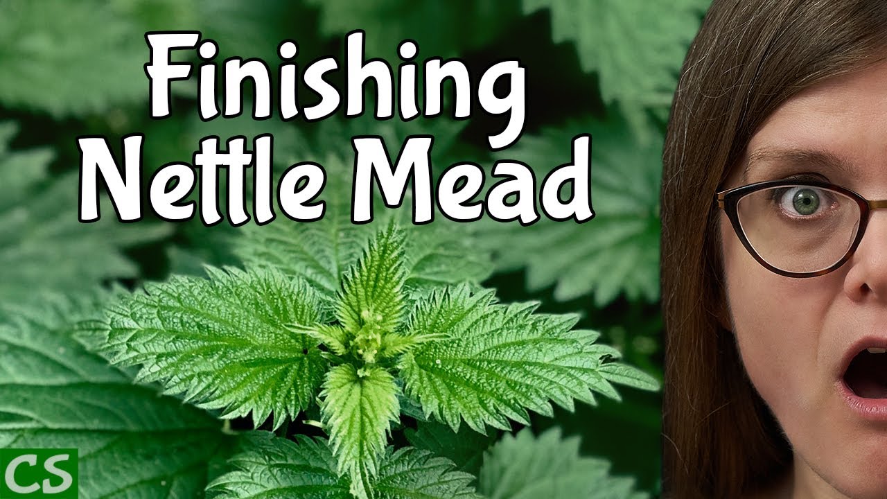 How to Make Nettle Mead (racking and bottling)