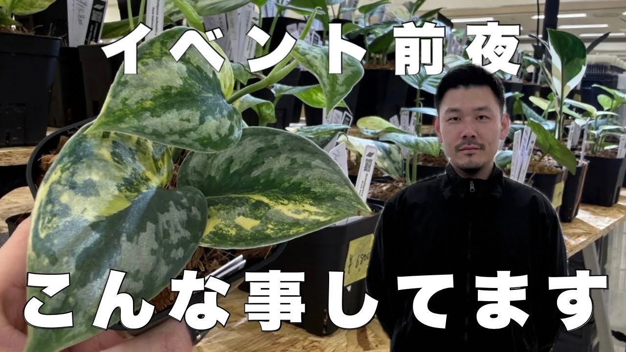 【イベント出店前夜！】こんな風に準備しています