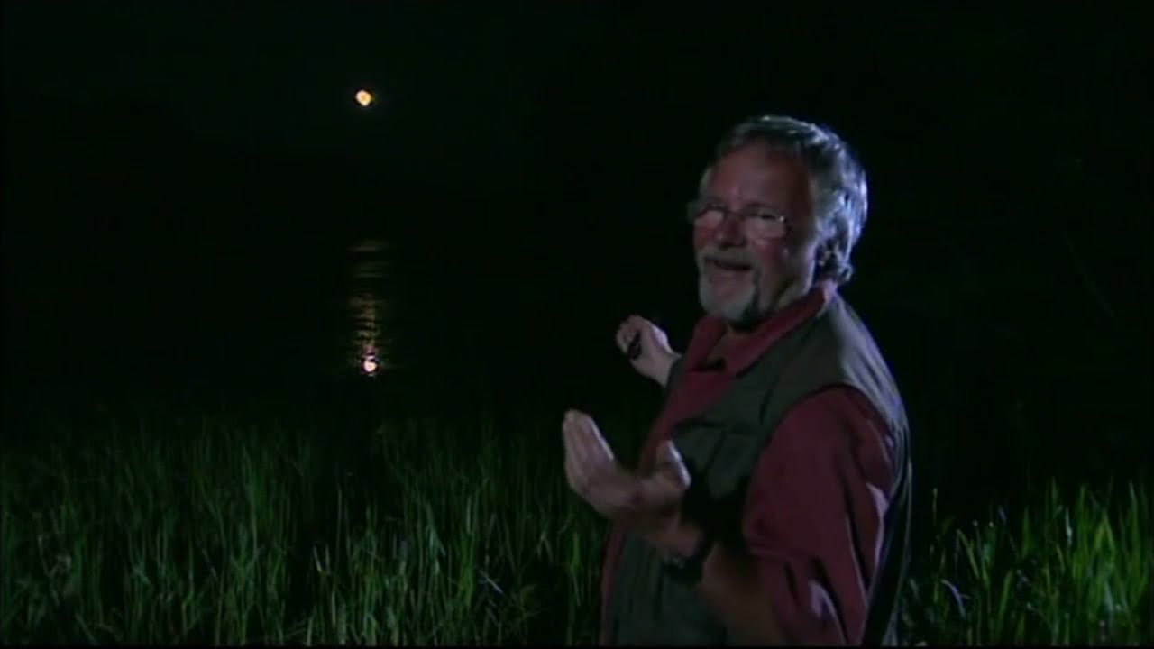 Bill Oddie Back in the USA: New England