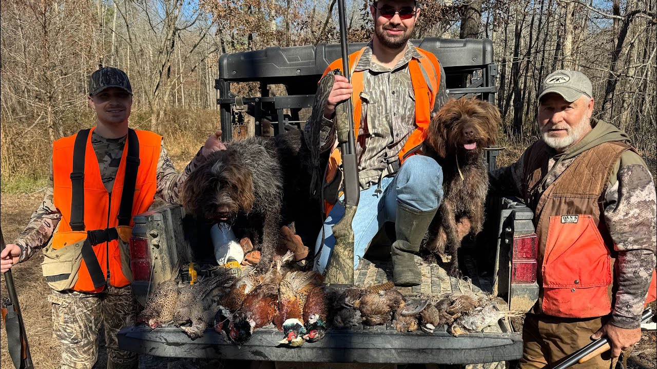 Охота на фазанов в канун Дня благодарения на ранчо Little «q» + Bryant Men