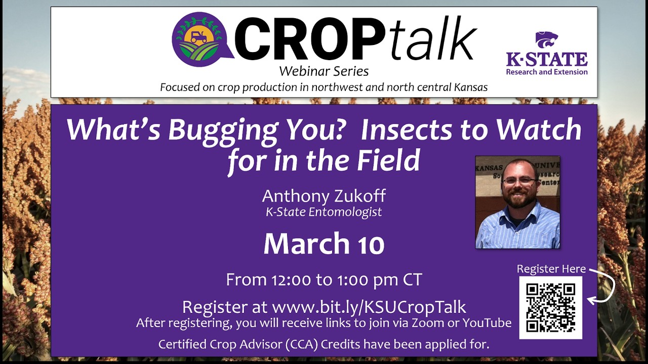 2026 CropTalk: What's Bugging You?  Insects in the Field to Watch For.