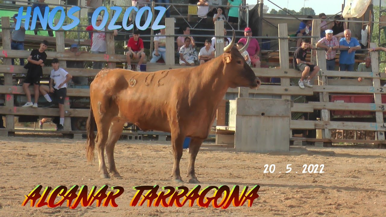 2022 05 20  ALCANAR HNOS OZCOZ