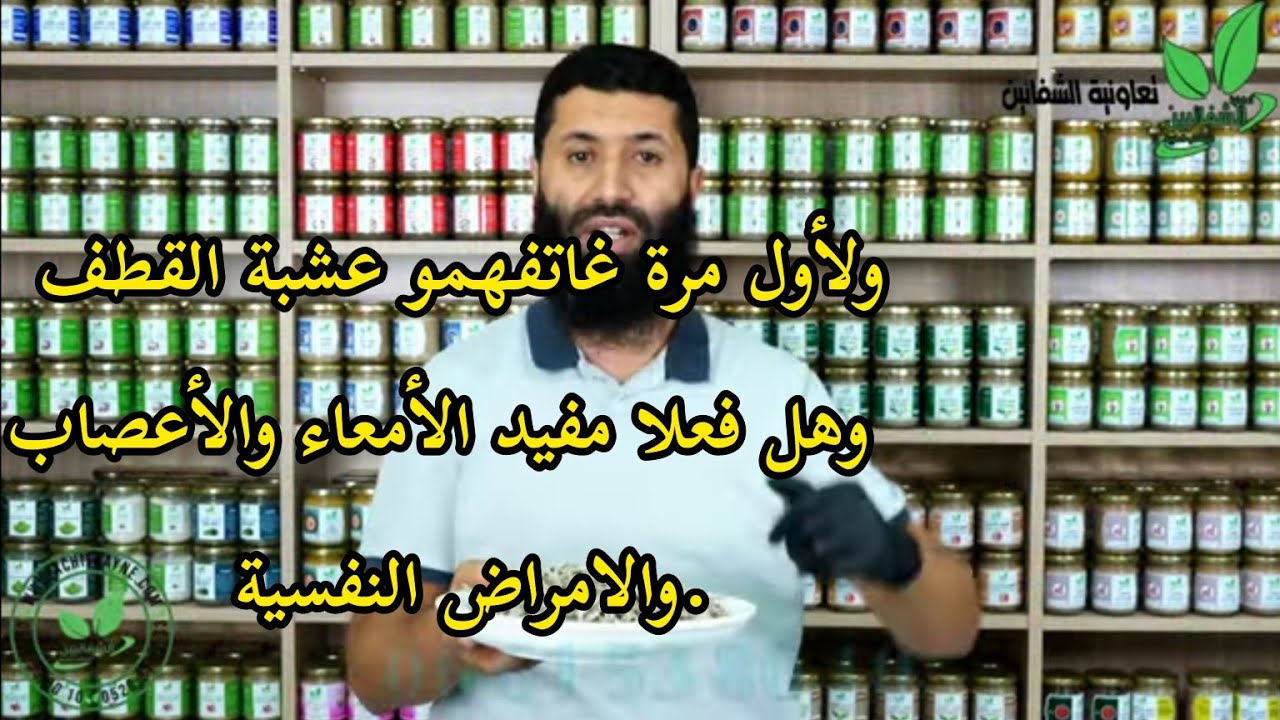 ولأول مرة غاتفهمو عشبة القطف  وهل فعلا مفيد الأمعاء والأعصاب.والامراض النفسية