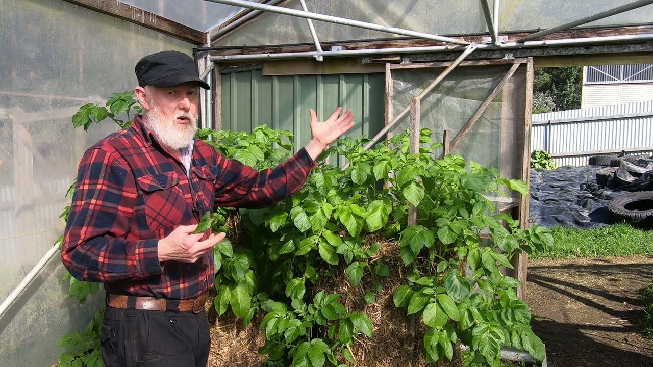 SAFE ways of dealing with FUNGAL attack...