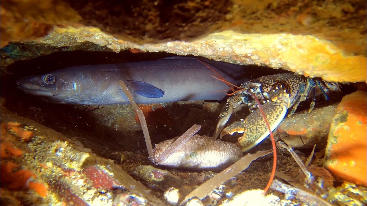 Pointe de Montr&eacute;mian le 9 ao&ucirc;t 2021