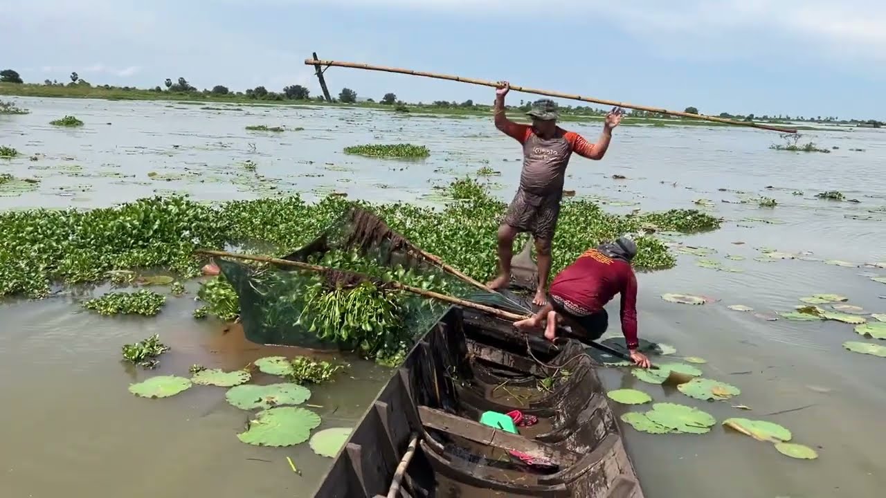 How to fishing eel fish at river 02? 